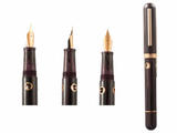 Nahvalur Nautilus Fountain Pen Collection - Premium New Pen Brands: from Federalist Pens and Paper - Just $160! Shop now at Federalist Pens and Paper