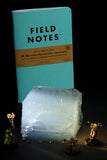 Field Notes SE Gaming Journals! (All!) - Premium  from Federalist Pens and Paper - Just $19.95! Shop now at Federalist Pens and Paper