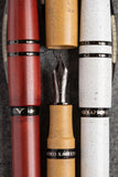 (New!) Visconti Homo Sapiens FP Colors Collection! - Premium New Pen Brands: from vendor-unknown - Just $720! Shop now at Federalist Pens and Paper
